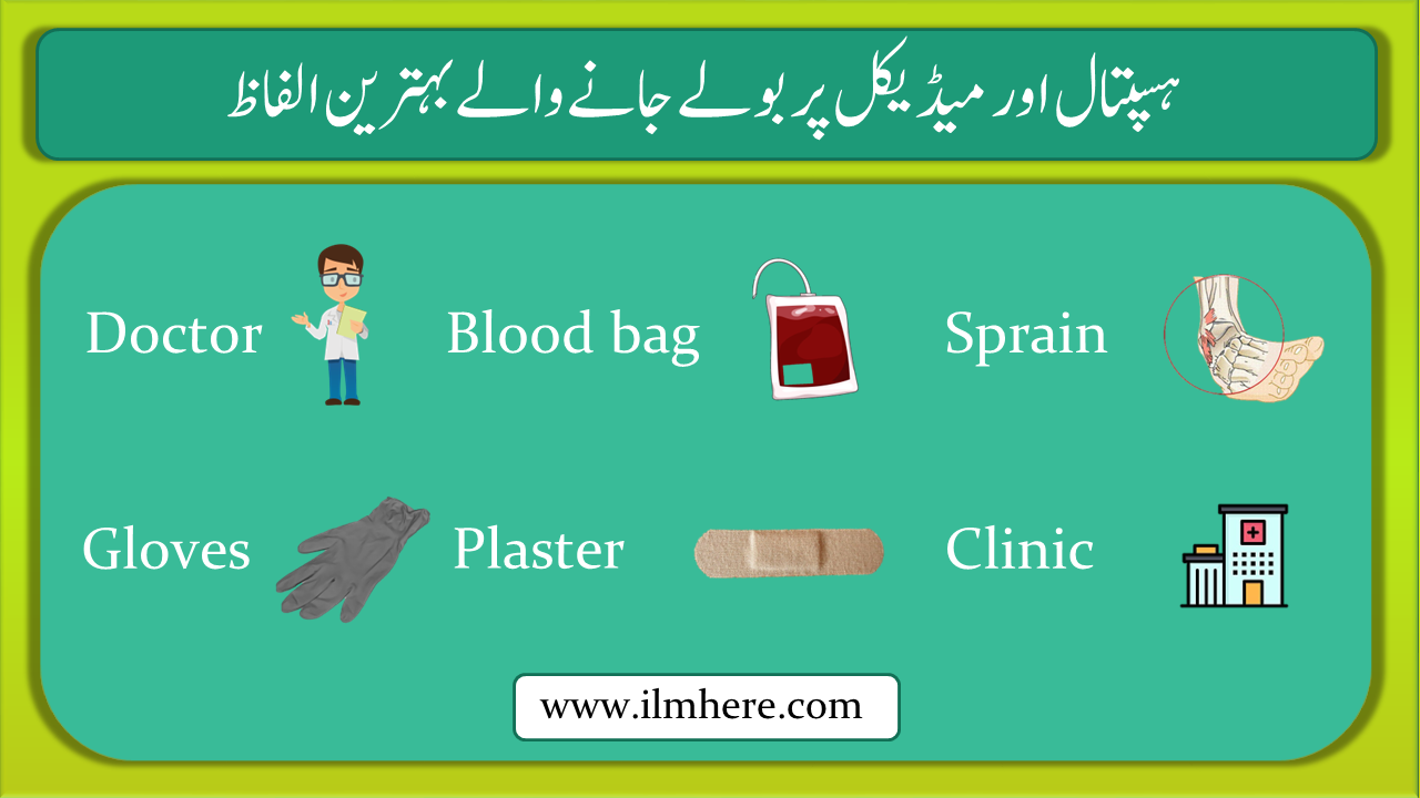 Hospital And Medical Vocabulary Words With Meaning in urdu and hindi