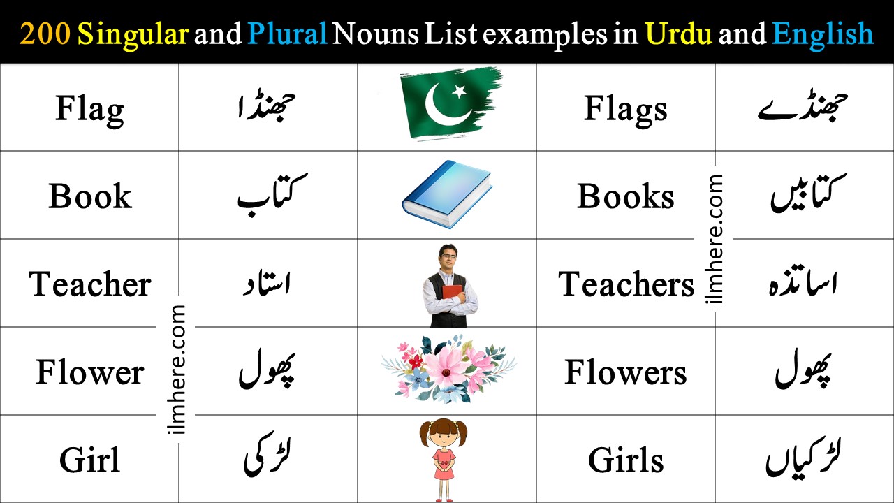 Singular and Plural Nouns
