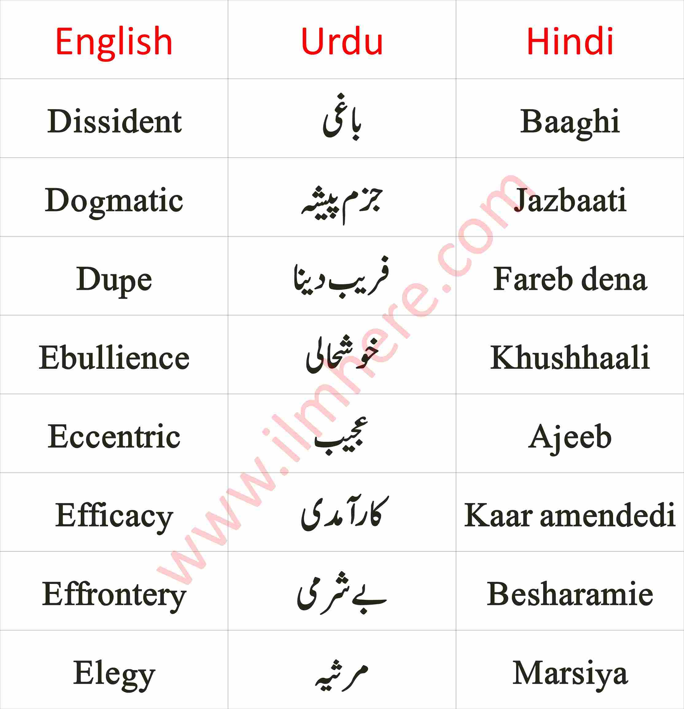 vocabulary English To Urdu & Hindi Vocabulary Words for Daily Use