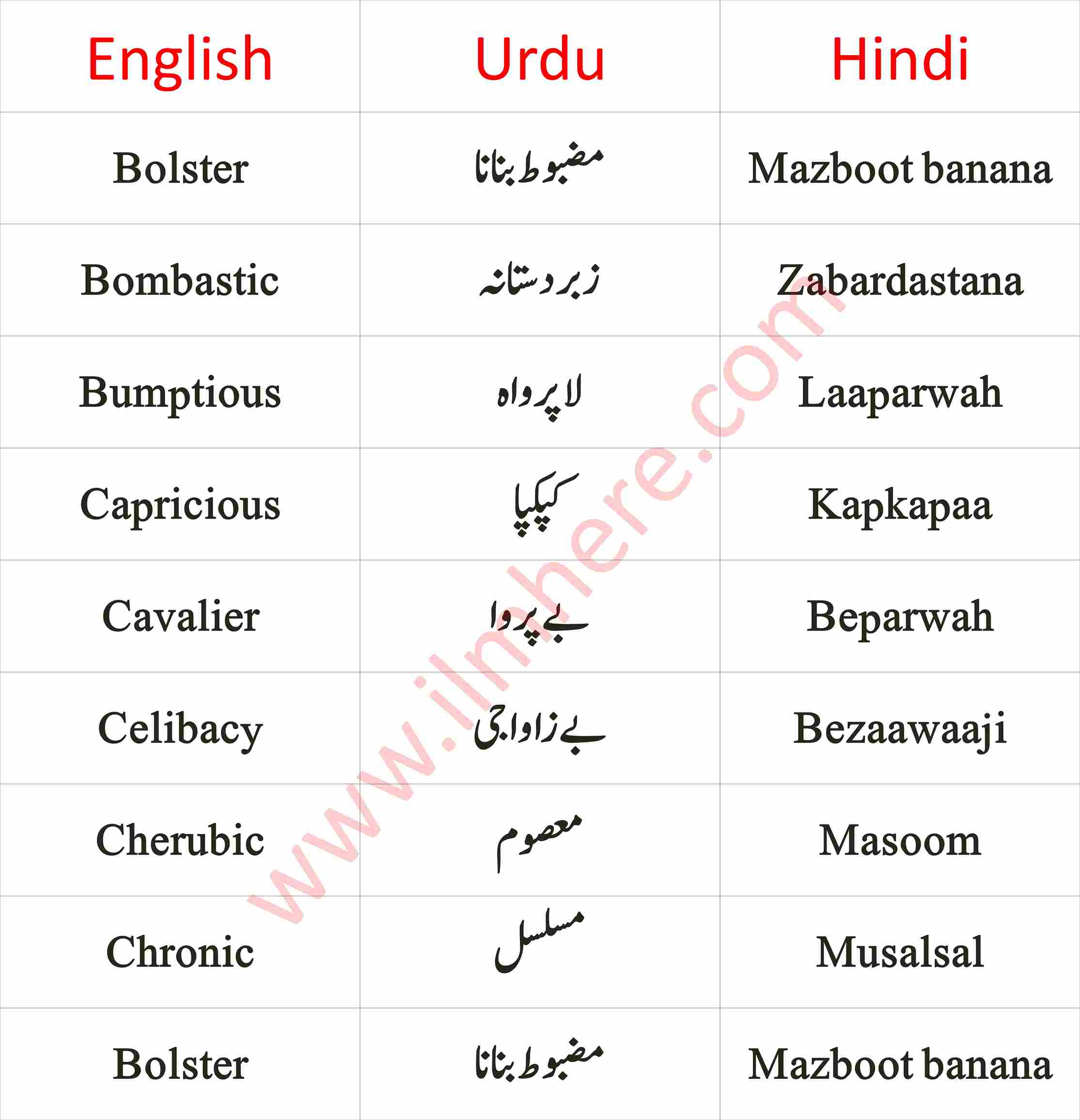 vocabulary English To Urdu & Hindi Vocabulary Words for Daily Use