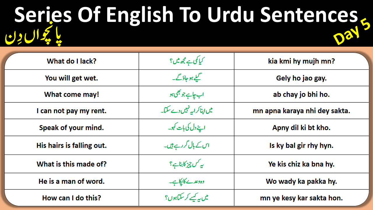 Series Of 8000 Daily Use English To Urdu Sentences Day 5