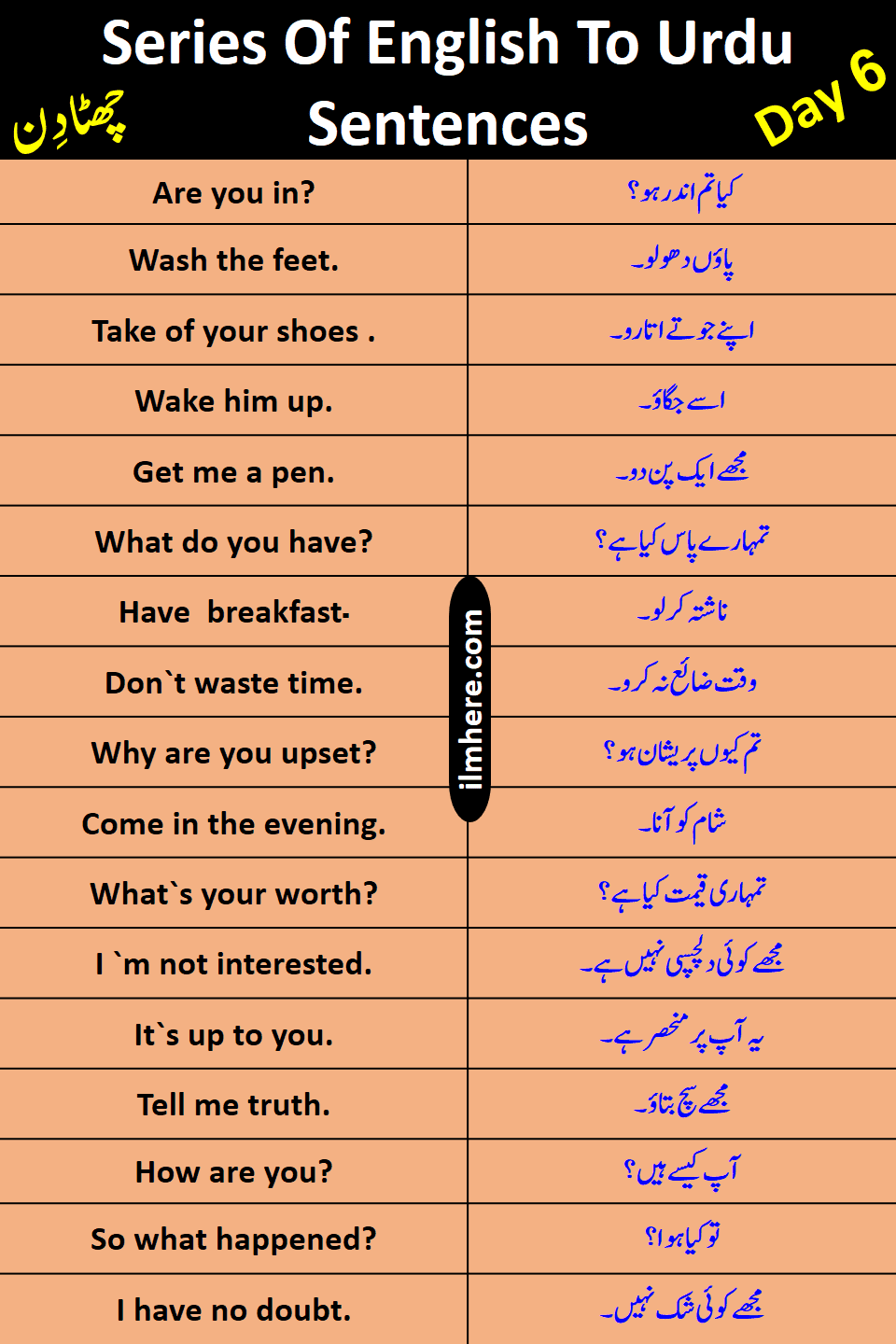 Series Of 8000 Daily Use English To Urdu Sentences Day 6
