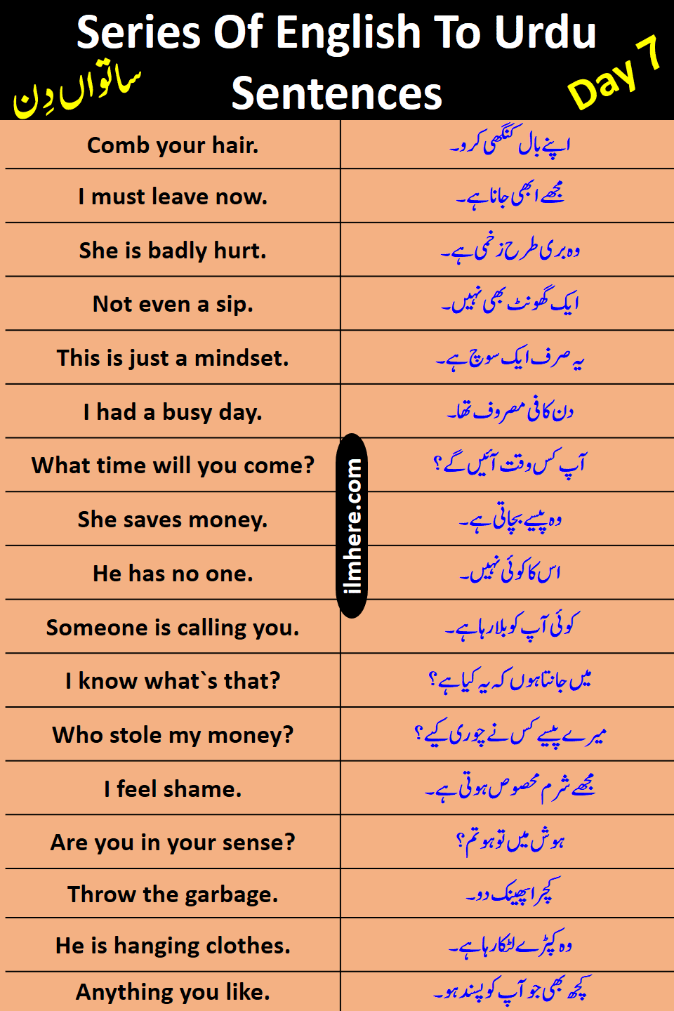 Series Of 8000 Daily Use English To Urdu Sentences Day 7