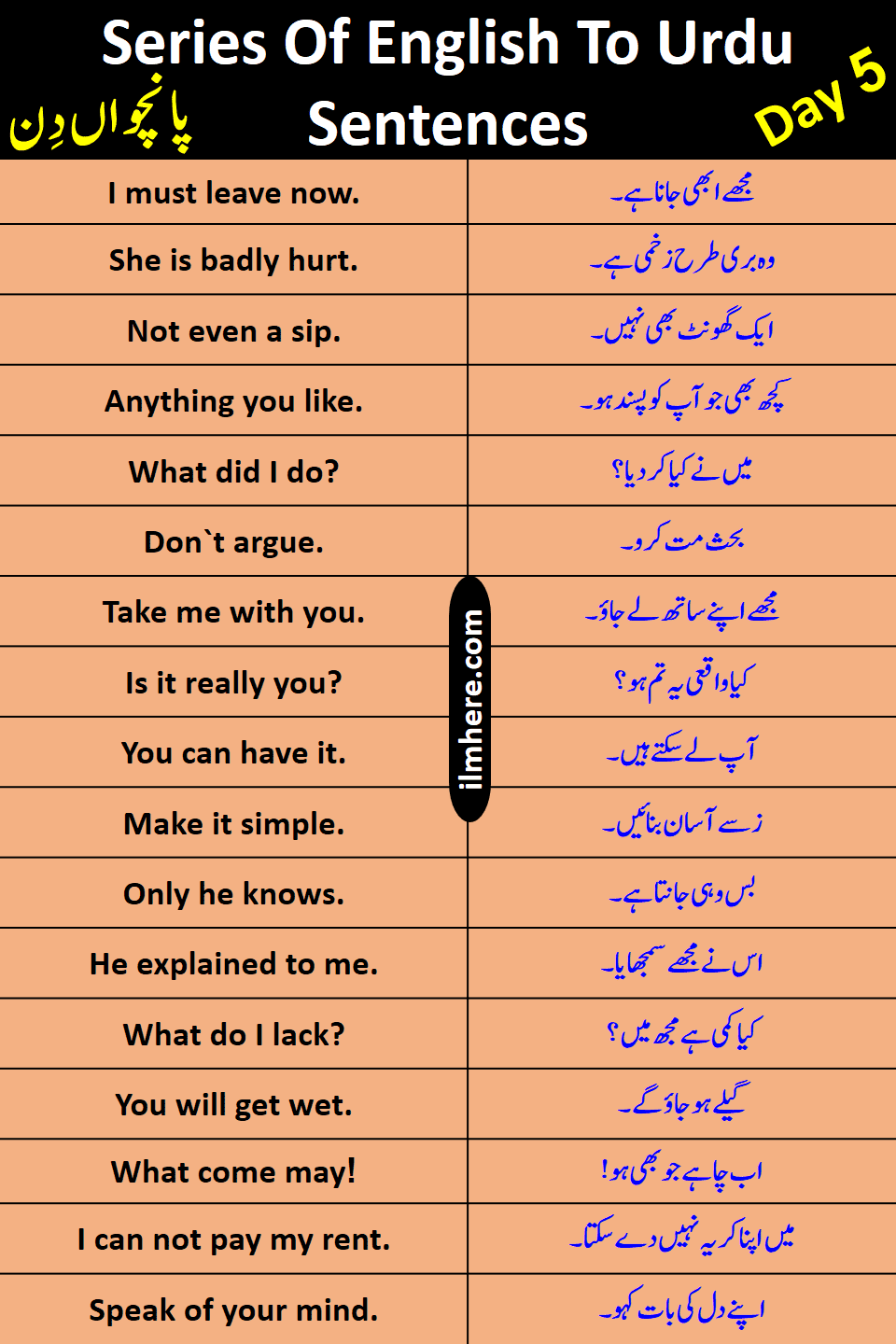 Series Of 8000 Daily Use English To Urdu Sentences Day 5