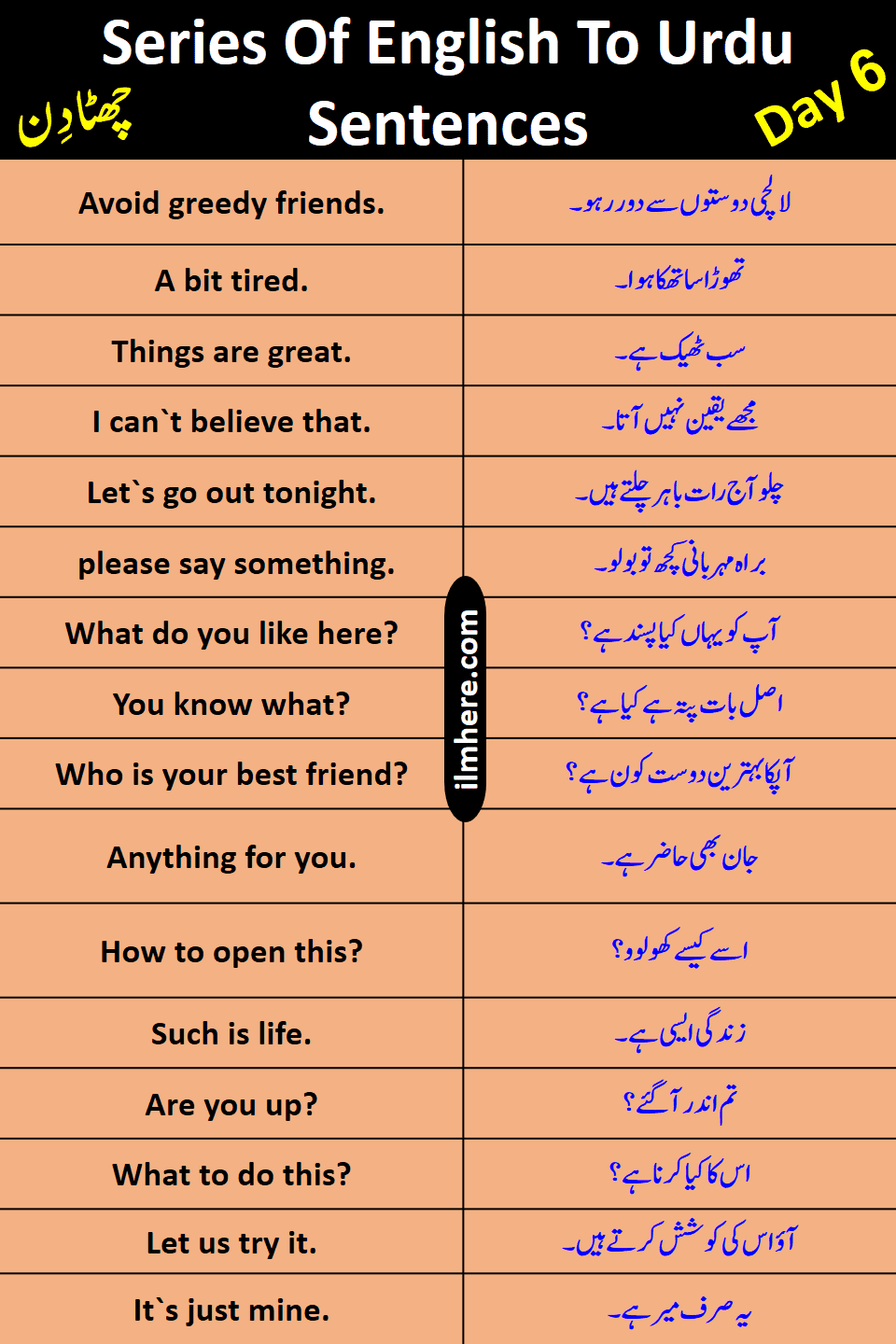 Series Of 8000 Daily Use English To Urdu Sentences Day 6