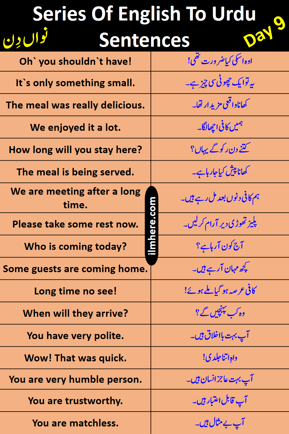 Series Of 8000 Daily Use English To Urdu Sentences Day 9
