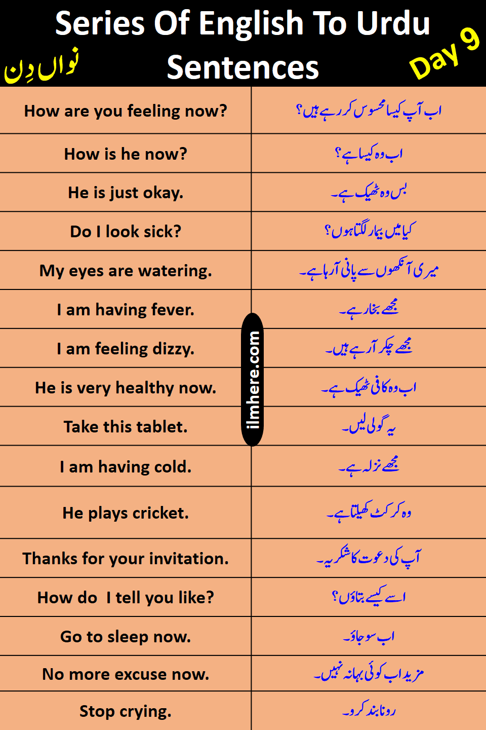 Series Of 8000 Daily Use English To Urdu Sentences Day 9