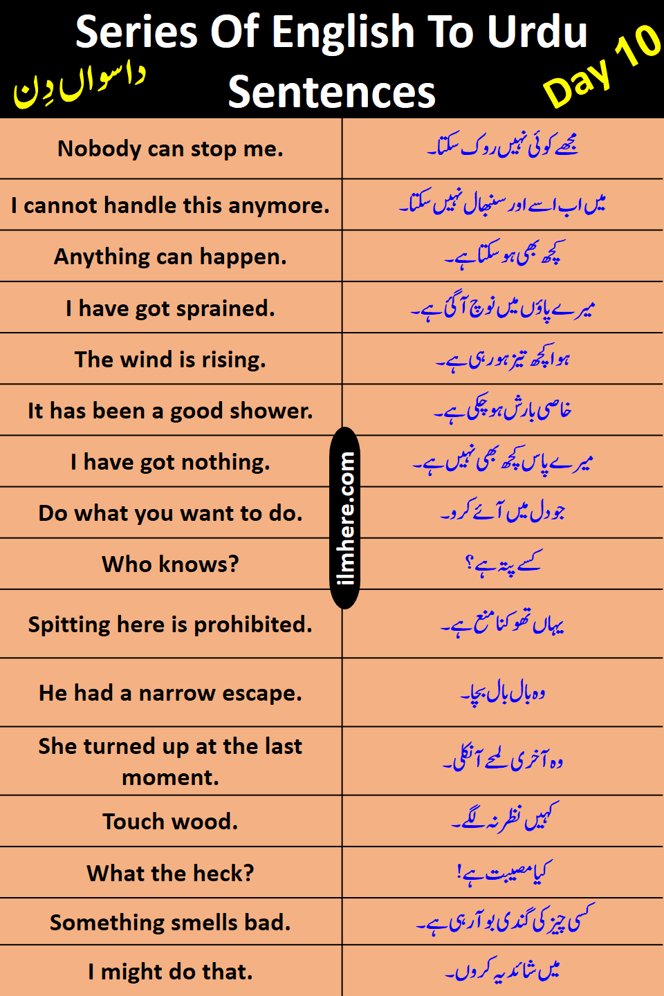 Series Of 8000 Daily Use English To Urdu Sentences Day 10