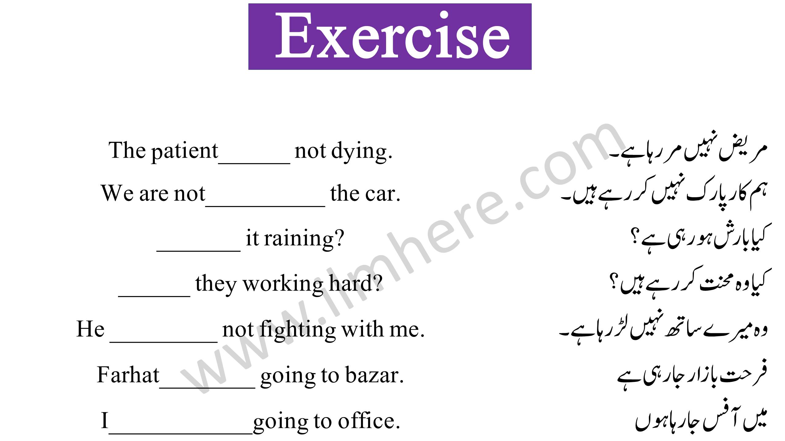 Exercise Of Present Continuous tense - 2